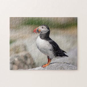 Quebra-cabeça Puffin Atlântico em Machias, Maine