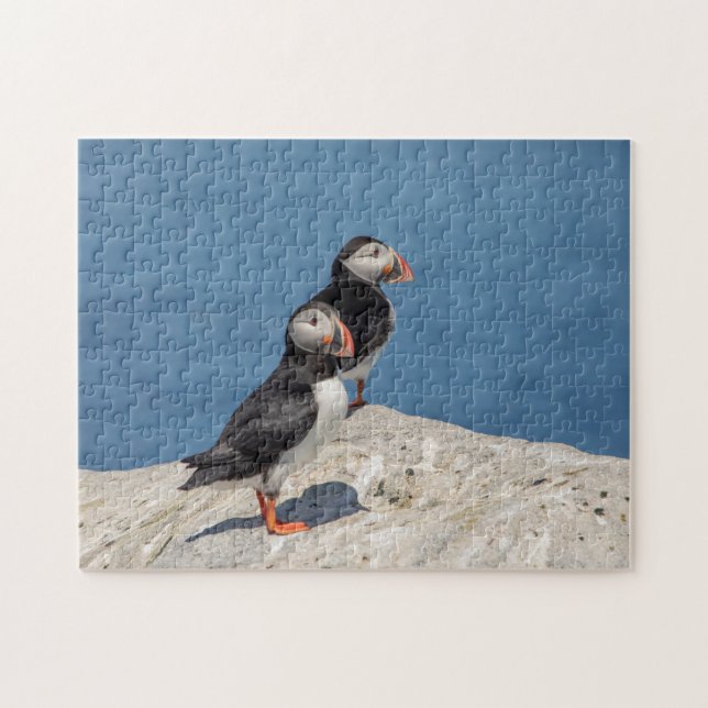 Quebra-cabeça Puffin Atlântico em Machias, Maine (Horizontal)