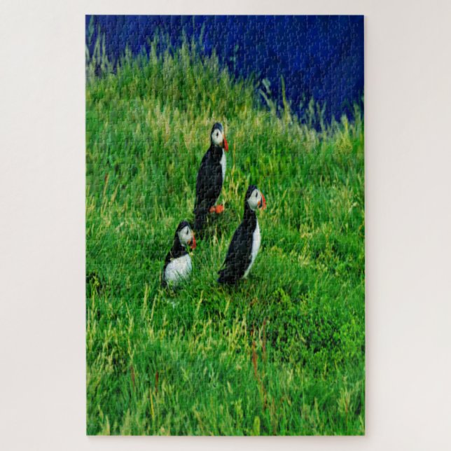 Quebra-cabeça Puffins (Vertical)