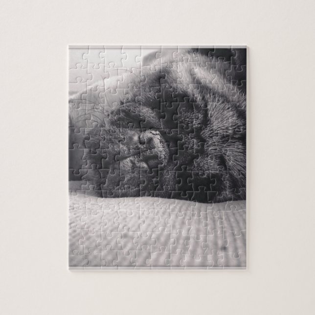 Quebra-cabeça Pug do sono (Vertical)