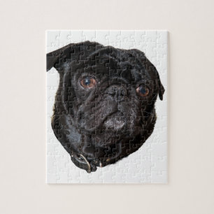 Quebra-cabeça Pug engraçado preto