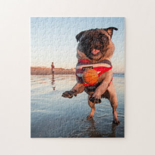 Quebra-cabeça Pug Playing Ball on Beach