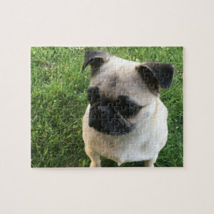 Quebra-cabeça Pug Puppy Photo