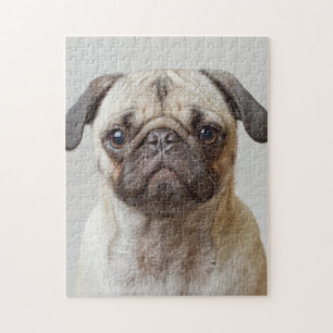 Quebra-cabeça Pug Retrato
