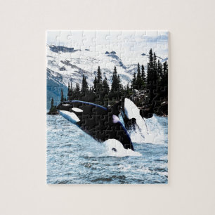 Quebra-cabeça Pulando a orca
