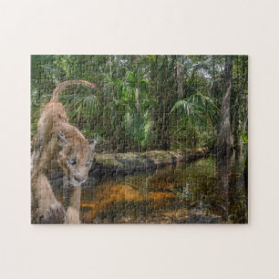 Quebra-cabeça Puma Everglades