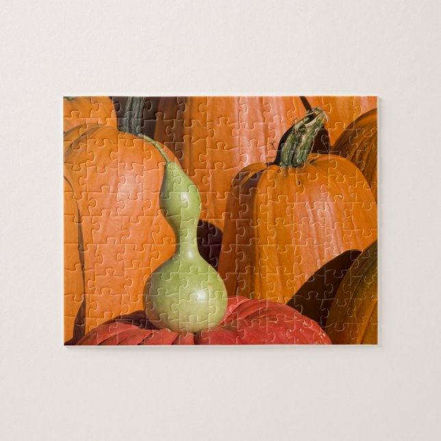 Quebra-cabeça Pumpkins e Gourd (Horizontal)