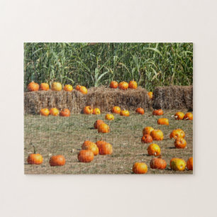 Quebra-cabeça Pumpkins, Milho e Fotografia de Colheita de outono