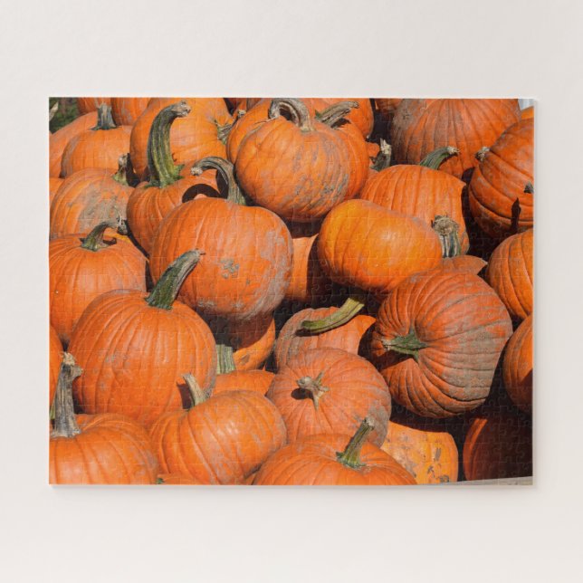 Quebra-cabeça Pumpkins, Pumpkins, Pumpkins - 16x20 - 520 pcs. (Horizontal)