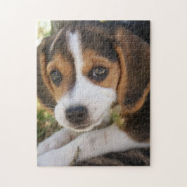 Quebra-cabeça Puppy Dog Beagle  