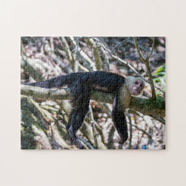 Quebra-cabeça Pura vida para macaco-prego branco (Horizontal)