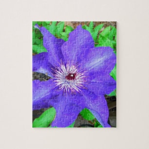 Quebra-cabeça Purple Clematis Flower