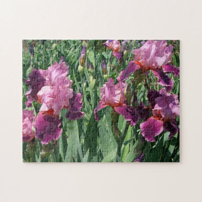 Quebra-cabeça Purple Irises Primavera Floral (Horizontal)