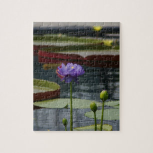 Quebra-cabeça Purple Waterlily
