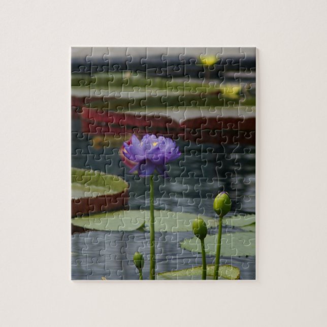 Quebra-cabeça Purple Waterlily (Vertical)