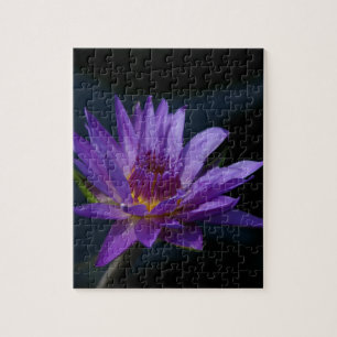 Quebra-cabeça Purple Waterlily
