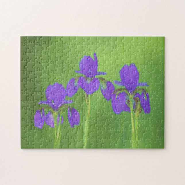 Quebra-cabeça Púrpura Iris - Arte Flor Original (Horizontal)
