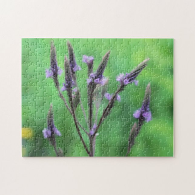 Quebra-cabeça Púrpura Vervain Wildflower Photo Painting (Horizontal)