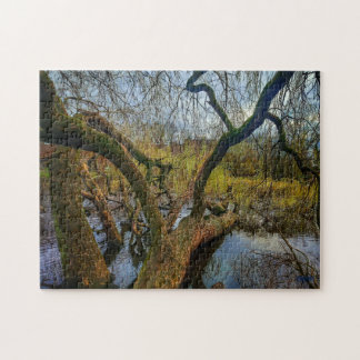 Quebra-cabeça Puzzle “Árboles del agua – Parque en Ámsterdam”