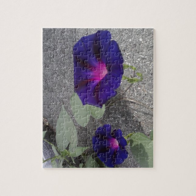 Quebra-cabeça Puzzle de Flores de Gloria da Manhã (Vertical)