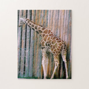 Quebra-cabeça Puzzle de girafa