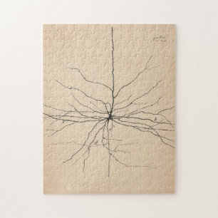Quebra-cabeça Pyramida Neuron Desenho Por Santiago Ramón Y Caja