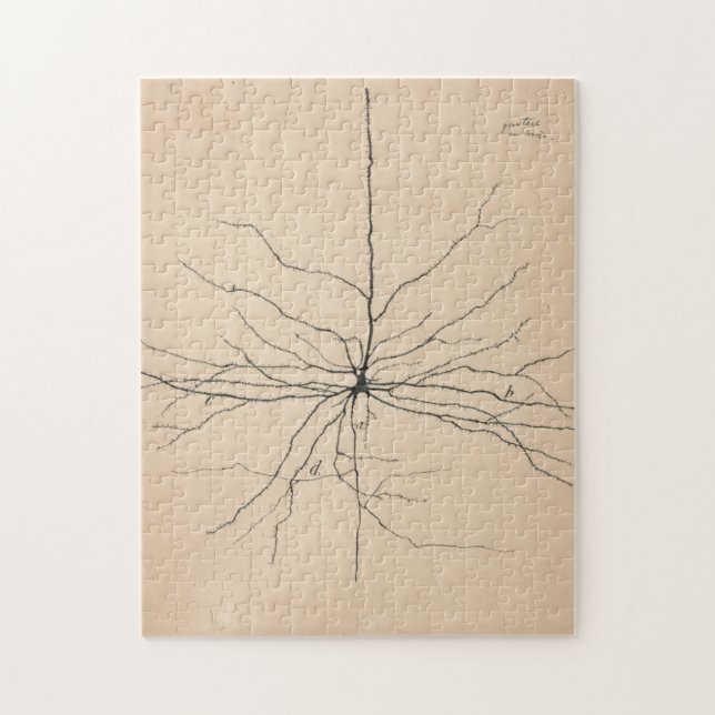 Quebra-cabeça Pyramida Neuron Desenho Por Santiago Ramón Y Cajal (Vertical)