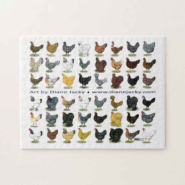 Quebra-cabeça Quarenta e oito Hen Promo (Horizontal)