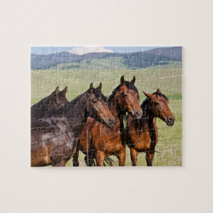 Quebra-cabeça Quatro Bons Cavalos