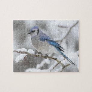 Quebra-cabeça Quebra-cabeça-Blue Jay