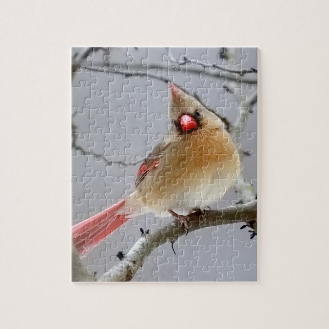 Quebra-cabeça quebra-cabeça_Fêmea_Cardinal (Vertical)