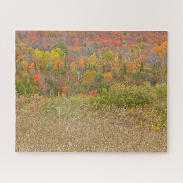 QUEBRA-CABEÇA QUEBRA-CABEÇA/"VIBRANT COUNTRYSIDE IN FALL" (Horizontal)