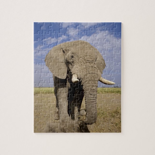 Quebra-cabeça Quênia: Parque Nacional de Amboseli, elefante mach (Vertical)