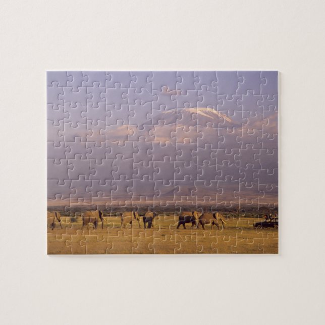 Quebra-cabeça Quênia: Parque Nacional de Amboseli, Elefantes (Horizontal)