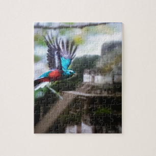 Quebra-cabeça Quetzel em Tikal