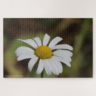 Quebra-cabeça Quiet Bloom – Great Smoky Mountains Daisy