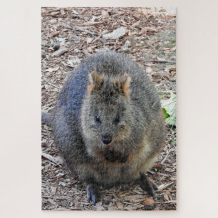 Quebra-cabeça Quokka