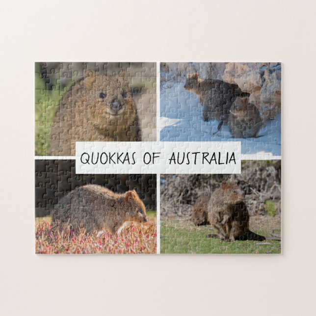 Quebra-cabeça Quokka da Austrália, 252 peças (Horizontal)