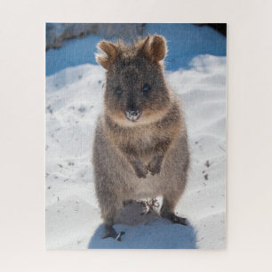 Quebra-cabeça Quokka na praia, 520 pedaços