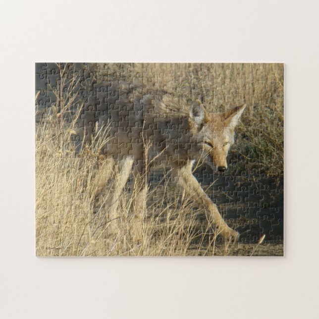 Quebra-cabeça R14 Coyote Caminhando (Horizontal)