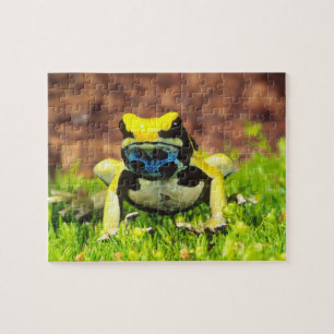 Quebra-cabeça Rã-veneno-de-tinta, Dendrobates tinctorius,
