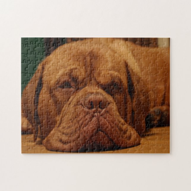 Quebra-cabeça Raça Canina Mastiff. (Horizontal)