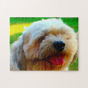 Quebra-cabeça Raça de Cão Lhasa Apso.