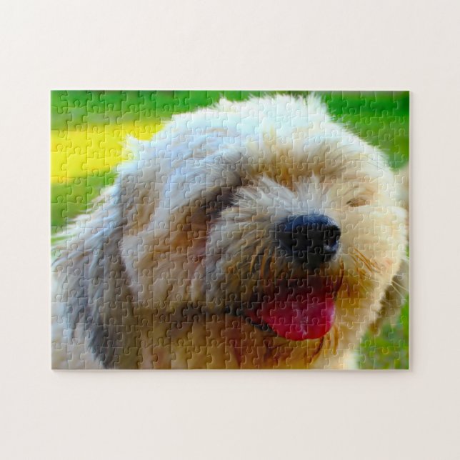 Quebra-cabeça Raça de Cão Lhasa Apso. (Horizontal)