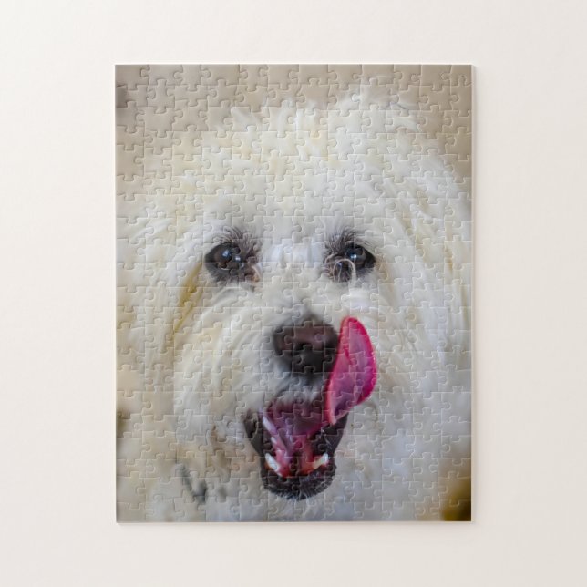 Quebra-cabeça Raça de Cão Maltês. (Vertical)