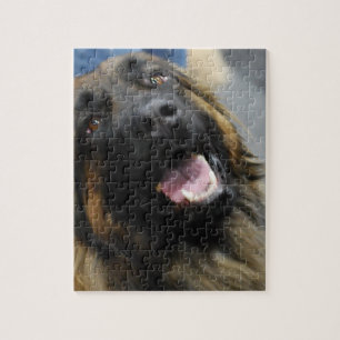 Quebra-cabeça Raça do cão de Leonberger