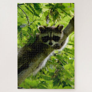 Quebra-cabeça Raccoon em cinza de Árvore Verde
