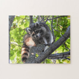 Quebra-cabeça Raccoon numa árvore