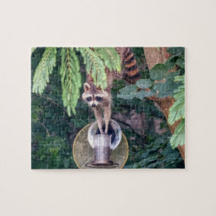 Quebra-cabeça Raccoon Raíndo o Alimentador de Aves