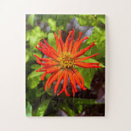 Quebra-cabeça Radiant Orange Zinnia | Floral Tribute to Alzheime